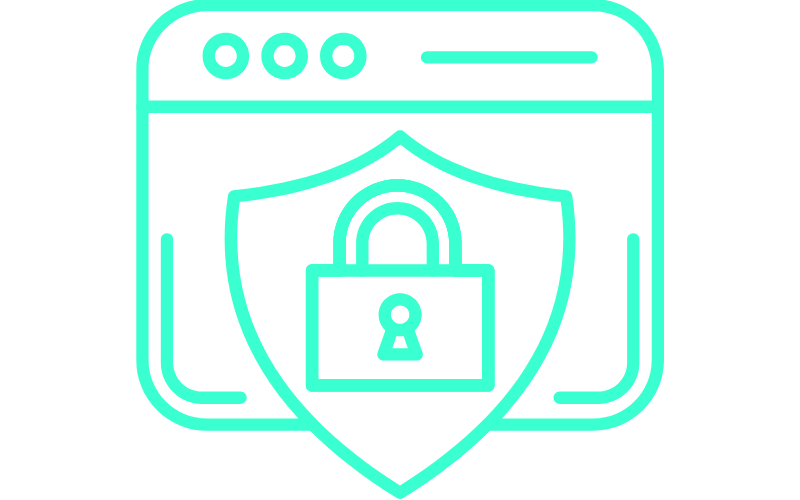 web security